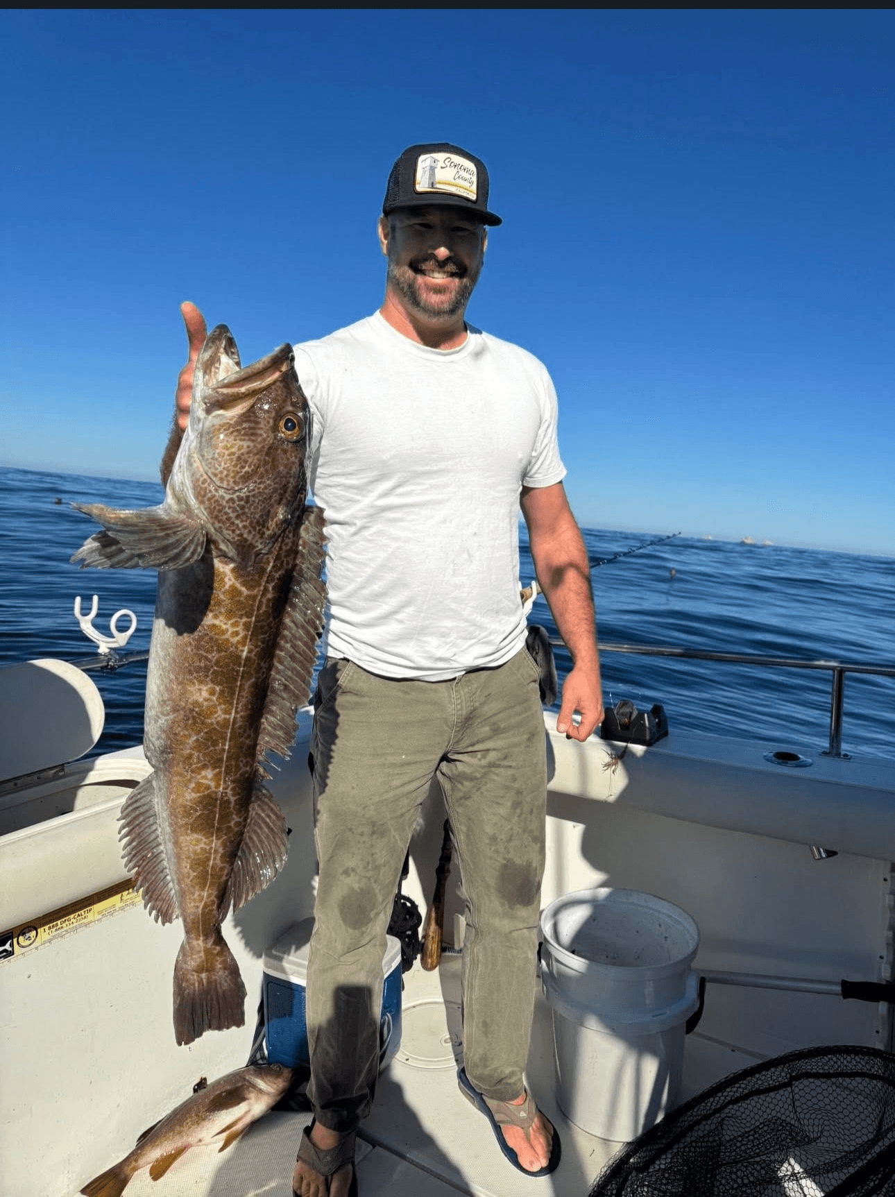 FARALLON LINGCOD & ROCKFISH