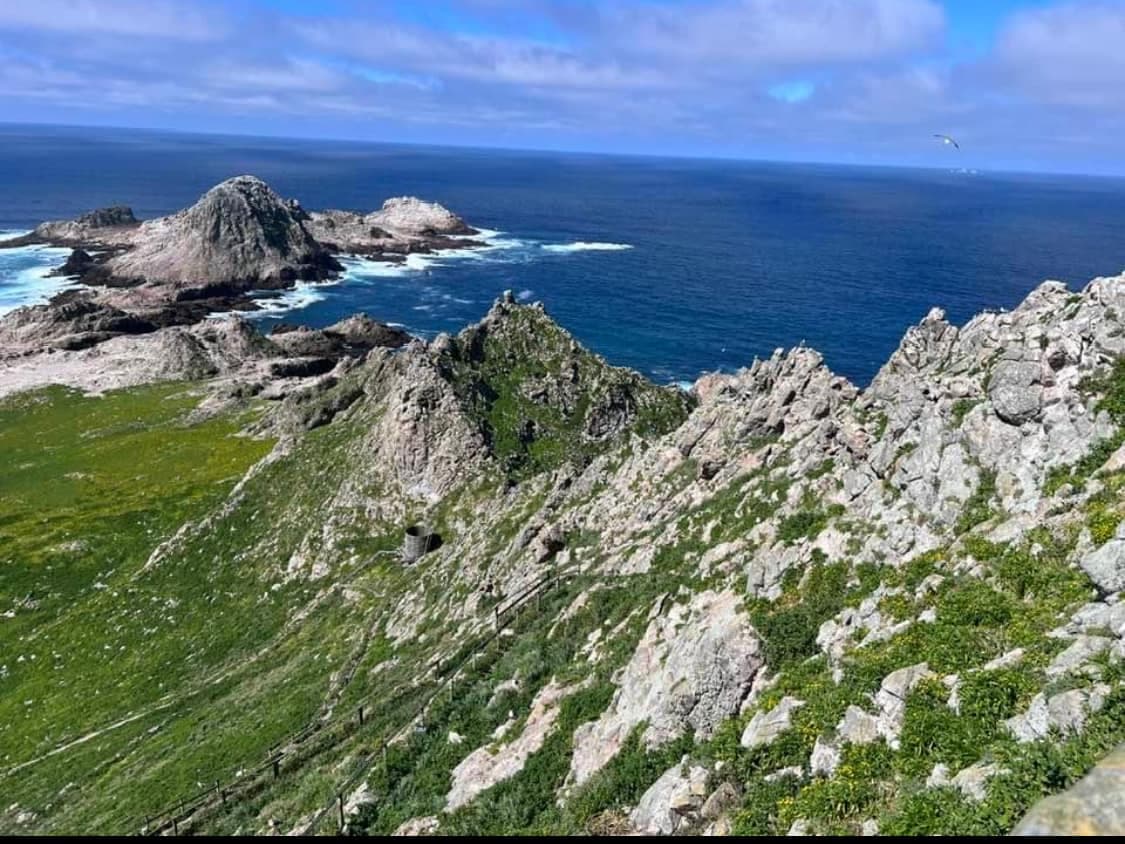 FARALLON ISLANDS TOUR